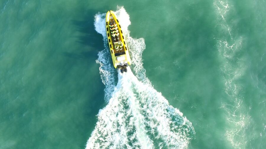 Reykjavik: Whale Watching by RIB Speedboat - Is $200 a fair price?