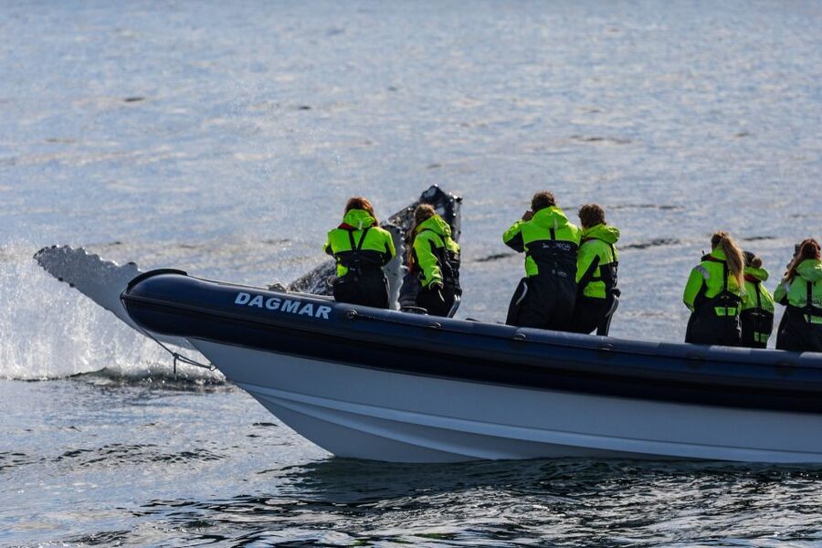 Reykjavik: Whale Watching Tour by RIB Boat - Leaving Reykjavik harbor for Faxaflói Bay