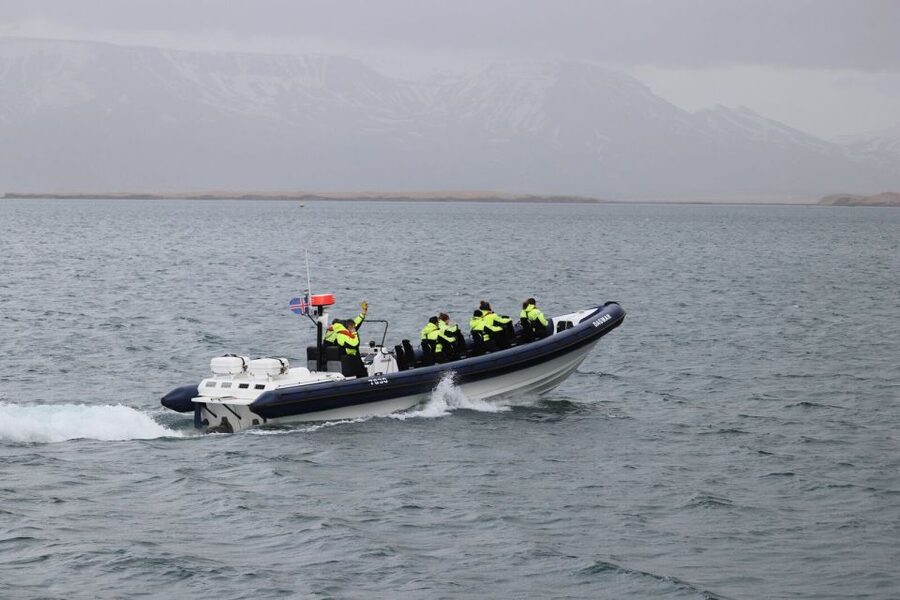 Reykjavik: Whale Watching Tour by RIB Boat - Guides who make the search more interesting