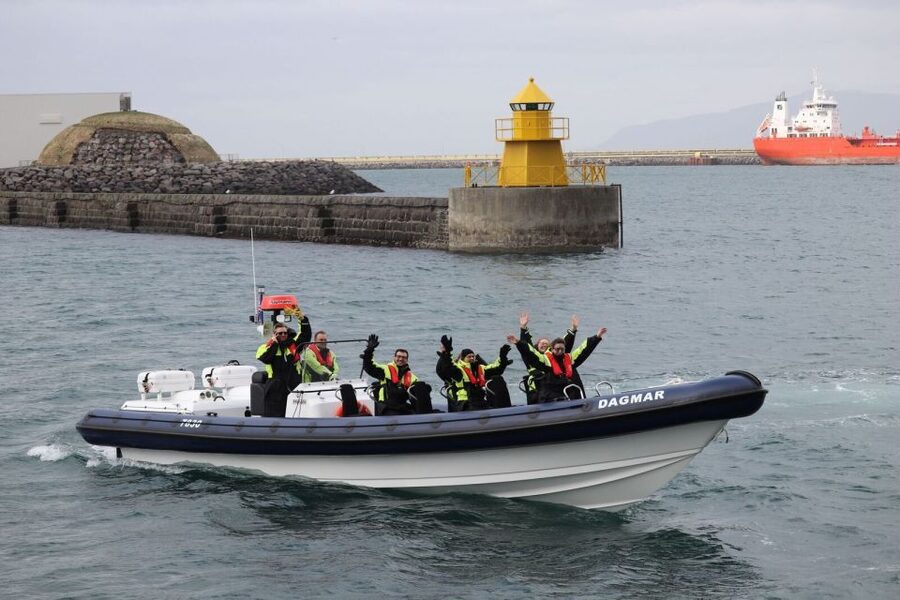 Reykjavik: Whale Watching Tour by RIB Boat - The value of the $194 price