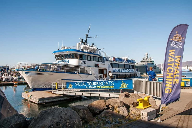 Reykjavik: Whale Watching Tour with Expert Guide - Classic or Express: Which Boat Fits Your Day?