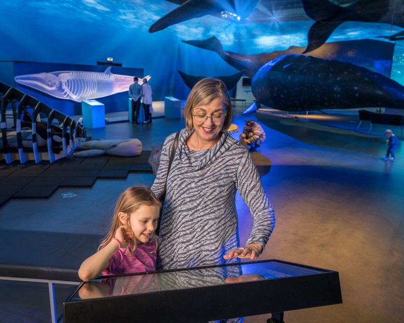Reykjavik: Whales of Iceland Museum Entrance Ticket - Should you book Whales of Iceland?