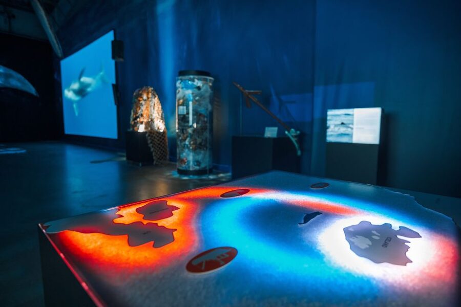 Reykjavik: Whales of Iceland Museum Entrance Ticket - The Fin Whale Theatre adds weight to the visit