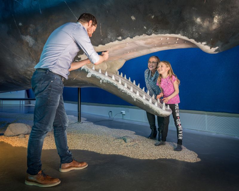 Reykjavik: Whales of Iceland Museum Entrance Ticket - A practical stop after whale watching