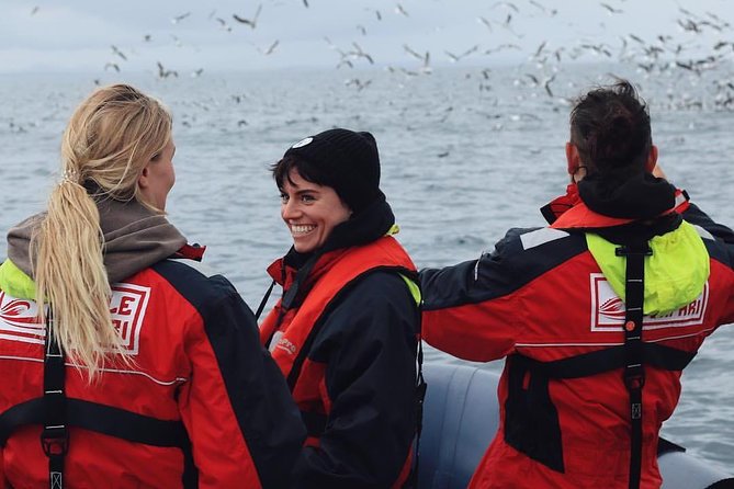 RIB Whale Watching Small-Group Boat Tour from Reykjavik - Leaving from Ægisgarður 5d in the Old Harbour