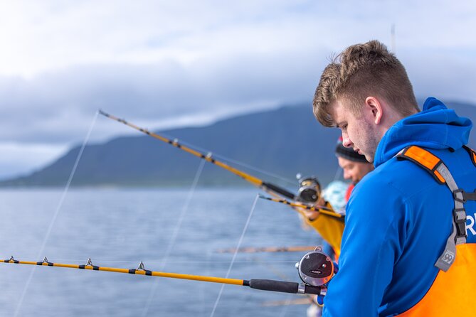 Sea Fishing Experience from Reykjavik - Leaving Reykjavík at 5:00 p.m.