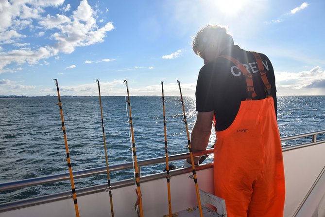Sea Fishing Experience from Reykjavik - Puffins, dolphins, and whales on the return