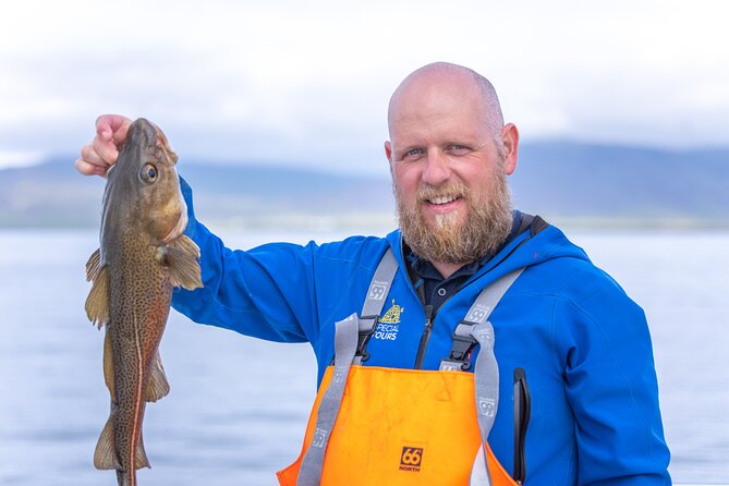 Sea Fishing Experience from Reykjavik - Learning the basics without feeling out of place