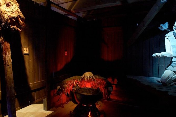 Settlement and Egils Saga Exhibition Ticket - Two Sides of Iceland’s Viking Past