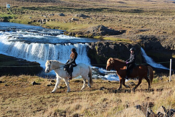 Short Riding Tour with Eye-Catching Photos at Waterfall - Riding toward Reykjafoss
