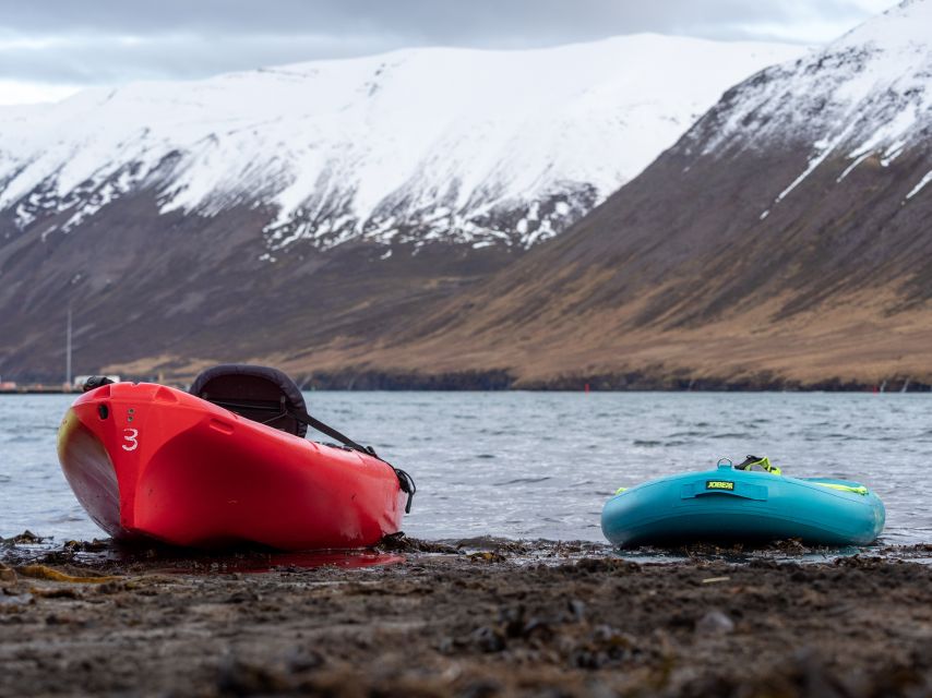 Siglufjörður / Siglufjordur: Guided kayak tour. - Why kayaking suits Siglufjörður