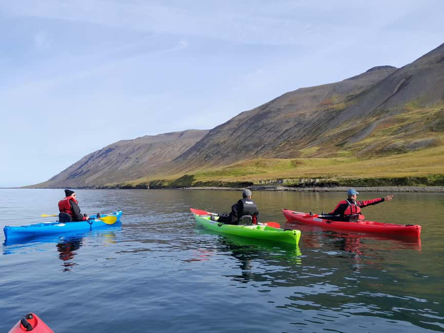 Siglufjörður / Siglufjordur: Guided kayak tour. - Who should book this paddle?