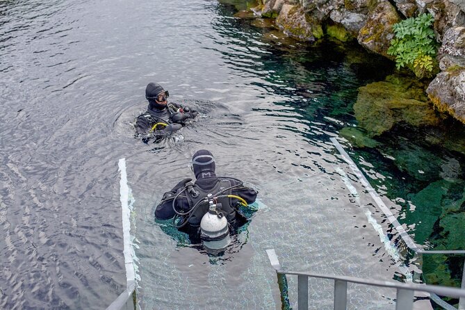 Silfra: Diving Between Tectonic Plates and Pick Up from Reykjavik - Who will enjoy this outing most