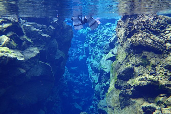 Silfra Fissure Snorkeling From Reykjavík - Free Underwater Photos - The one-hour setup leads to a short swim