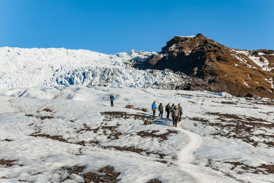 Skaftafell National Park: Falljokull Glacier Easy Hike - Guide quality shapes the whole outing