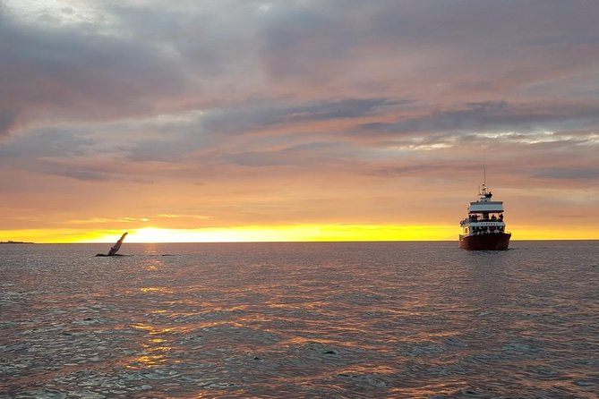 Small-group Whale Watching in the Midnight Sun from Reykjavík - Getting suited up for the sea