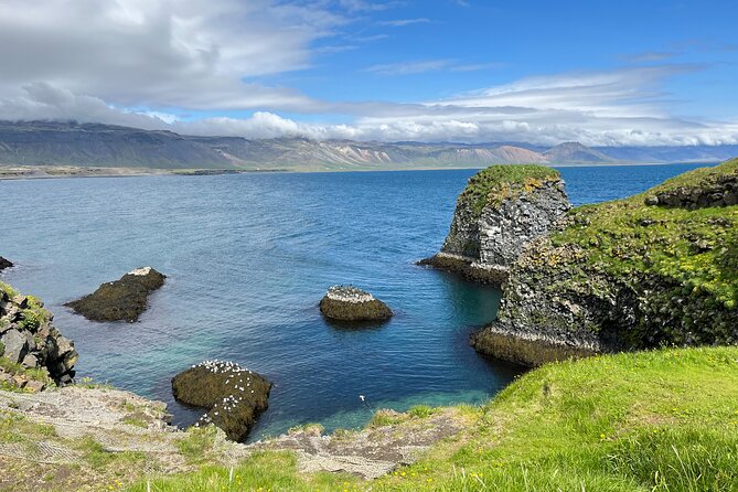Snæfellsnes in Spanish with lunch on a farm Minibus - Djúpalónssandur and the sailor strength stones