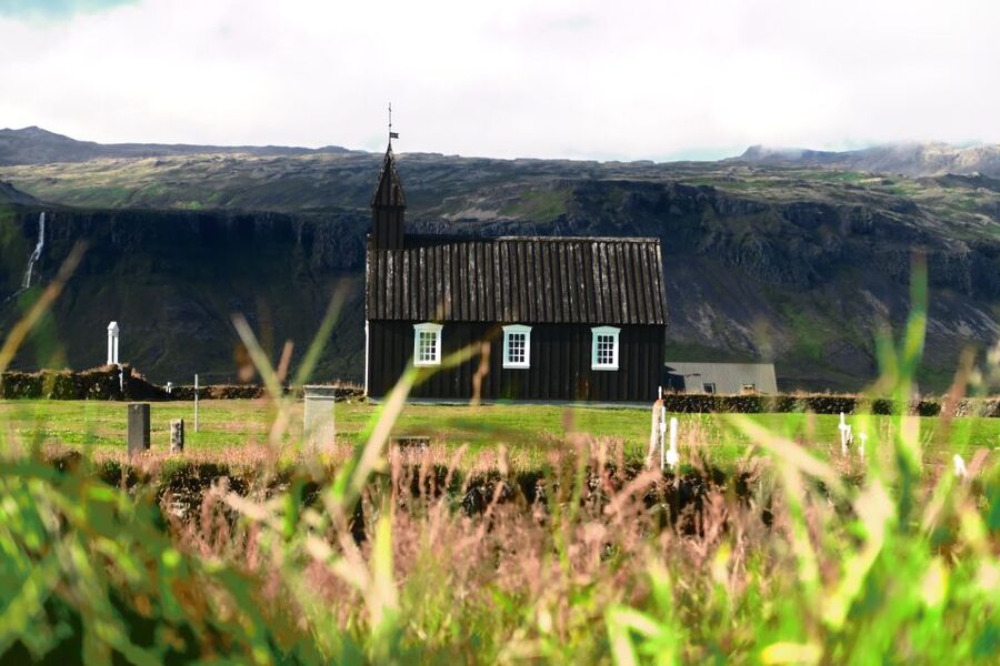 Snæfellsnes: Small-Group Hidden Treasures of The West Tour - Ytri Tunga and the wild seals