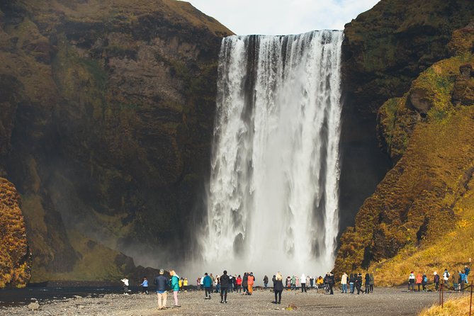 South Coast Day Tour Black Sand Beach & Waterfalls from Reykjavik - Solheimajokull Glacier: close enough to touch