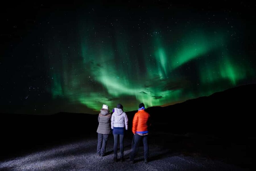 South Coast, Glacier Hike and Northern Lights Winter Tour - Reynisfjara, Black Sand and Basalt Columns