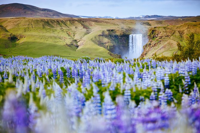 South Coast Iceland from Reykjavik with Guide & Touchscreen Audio - Vík: the useful one-hour break
