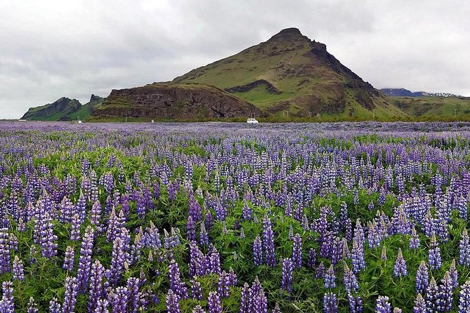 South Coast. Private Day Tour from Reykjavik - Skogafoss, with spray and a stairway view