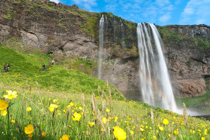 South Coast Sagas: Small Group Tour with Pick-up from Reykjavik - Is $172.41 a fair price?