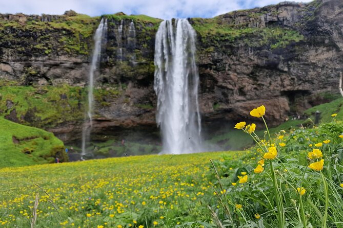 South Iceland, Glacier and Black Sand Beach Small Group Tour - Seljalandsfoss: the wettest first stop