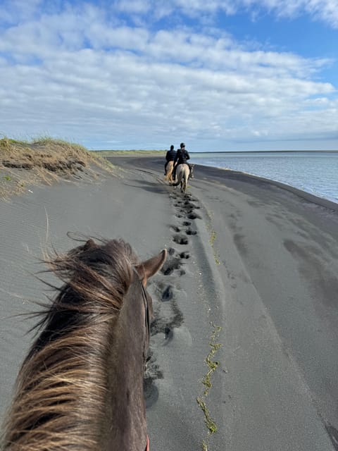 southern Iceland: Black beach riding tour - Key points to know before you book