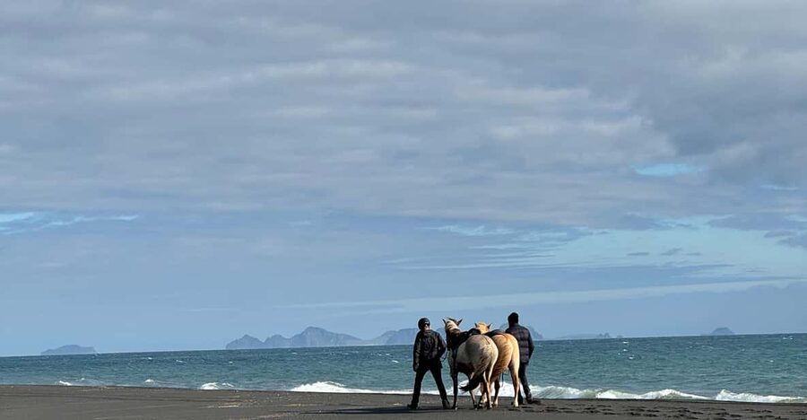 southern Iceland: Black beach riding tour - The value of a $194 horseback ride