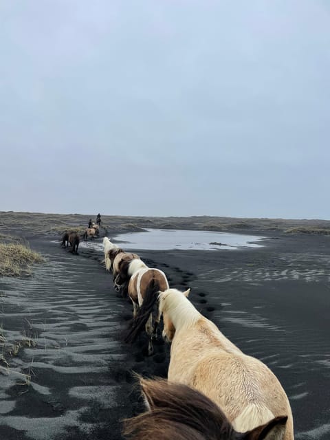southern Iceland: Black beach riding tour - Finding Grímsstaðir without a scramble