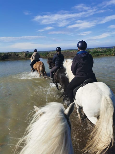 southern Iceland: Black beach riding tour - What the strong ratings mean in practical terms