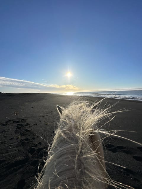 southern Iceland: Black beach riding tour - Why the Icelandic horse changes the ride