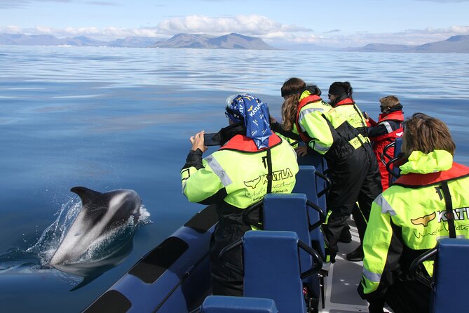 Speedboat Whale Watching Small-Group Tour in Reykjavik - Meeting Reykjavik from the water