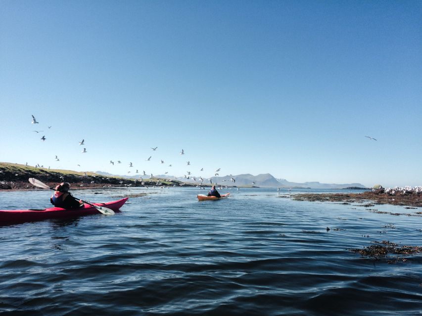 Stykkishólmur: 2-Hour Sea Kayak Tour - The Thorgeir and other shipwrecks