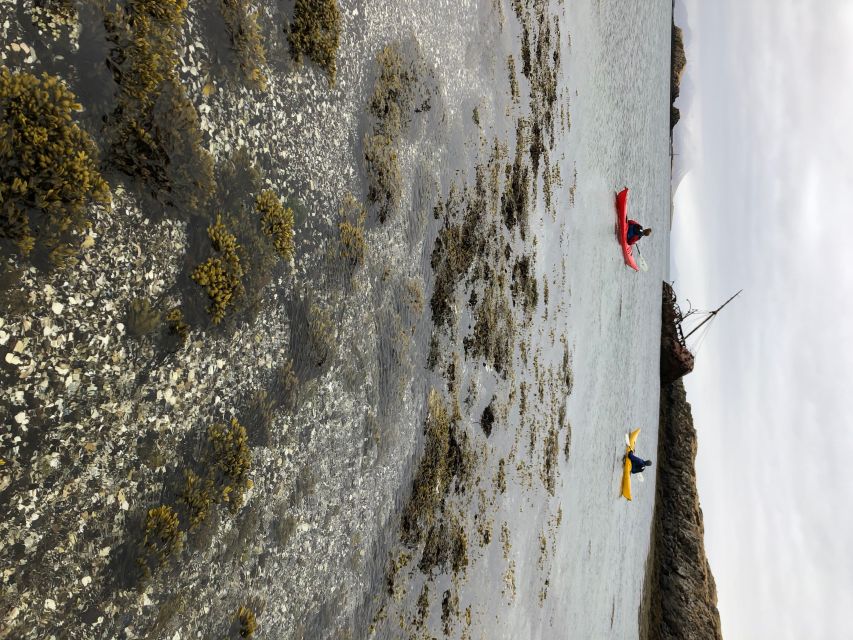 Stykkishólmur: 2-Hour Sea Kayak Tour - Who will enjoy this kayak tour