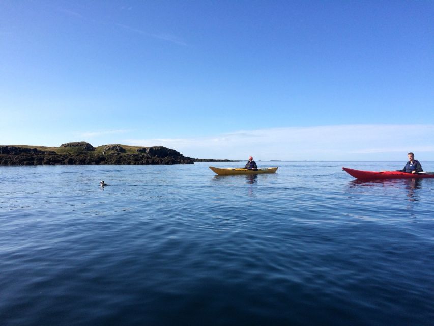 Stykkishólmur: 2-Hour Sea Kayak Tour - Landey and the story of eiderdown