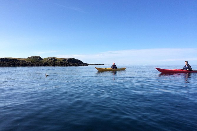 Stykkisholmur Sea kayak Day tour - Key points to know before paddling out