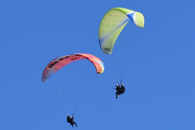 Tandem Paragliding Flights from Vik - Reynisfjall: the launch site with a view