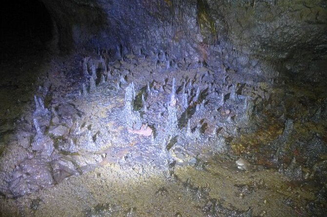 The Cave Explorer - What happens from the service house to the cave