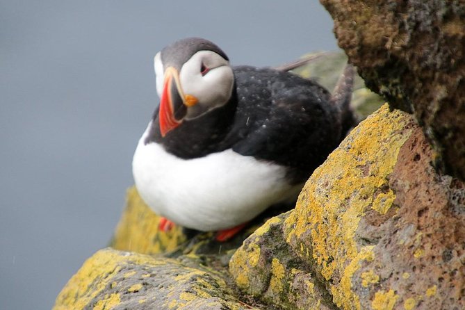 The Great Round Tour: Around Iceland in 13 Days - Days 2 and 3: the Golden Circle and South Coast
