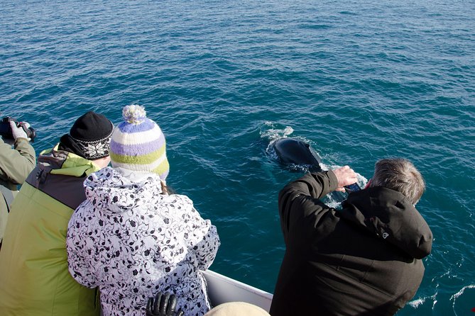 The Original Classic Whale Watching from Reykjavik - Leaving Ægisgarður for Faxaflói Bay
