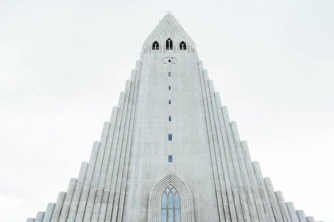 The Reykjavik Cat Walking Tour - Key points to know before you book