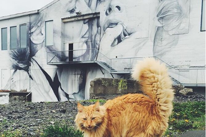 The Reykjavik Cat Walking Tour - The guides make the small group matter