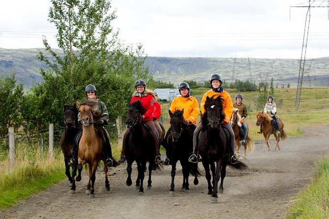 The Siggi Tour from Reykjavík: 1.5 to 2-Hour Ride - Riding from Hótel Eldhestar into South Iceland