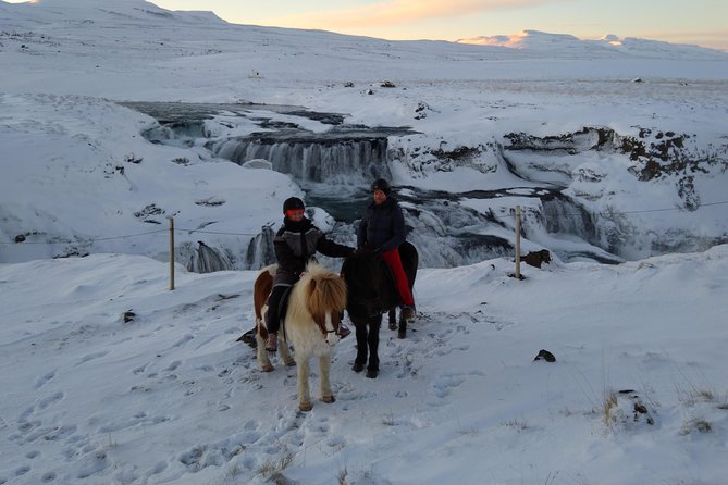 The Viking Horse Riding Experience in North Iceland - What the guides add to the ride
