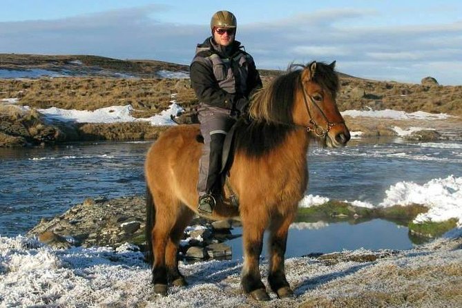 The Viking Horse Riding Experience in North Iceland - A good first ride for beginners