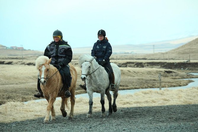 The Viking Horse Riding Experience in North Iceland - Is $123.75 a fair price?