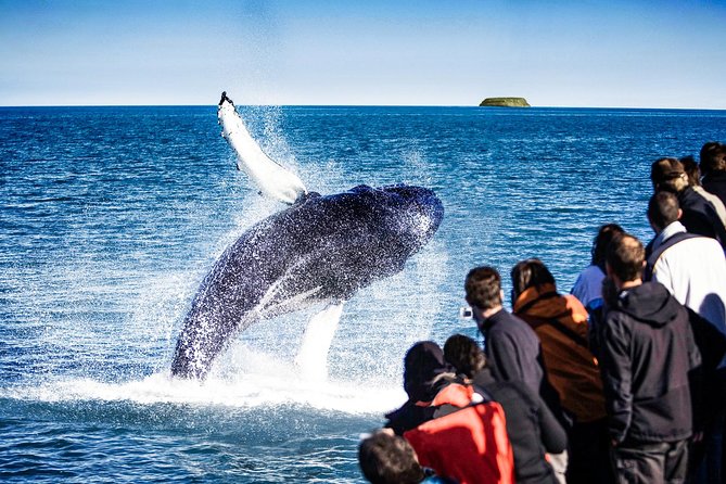 Traditional Oak Ship Whale Watching Tour From Husavik - Setting out from Húsavík and Skjálfandi Bay