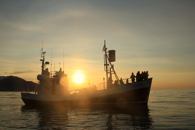Traditional Whale Watching from Húsavík by Local Family Company - Timing, group size, and planning your day